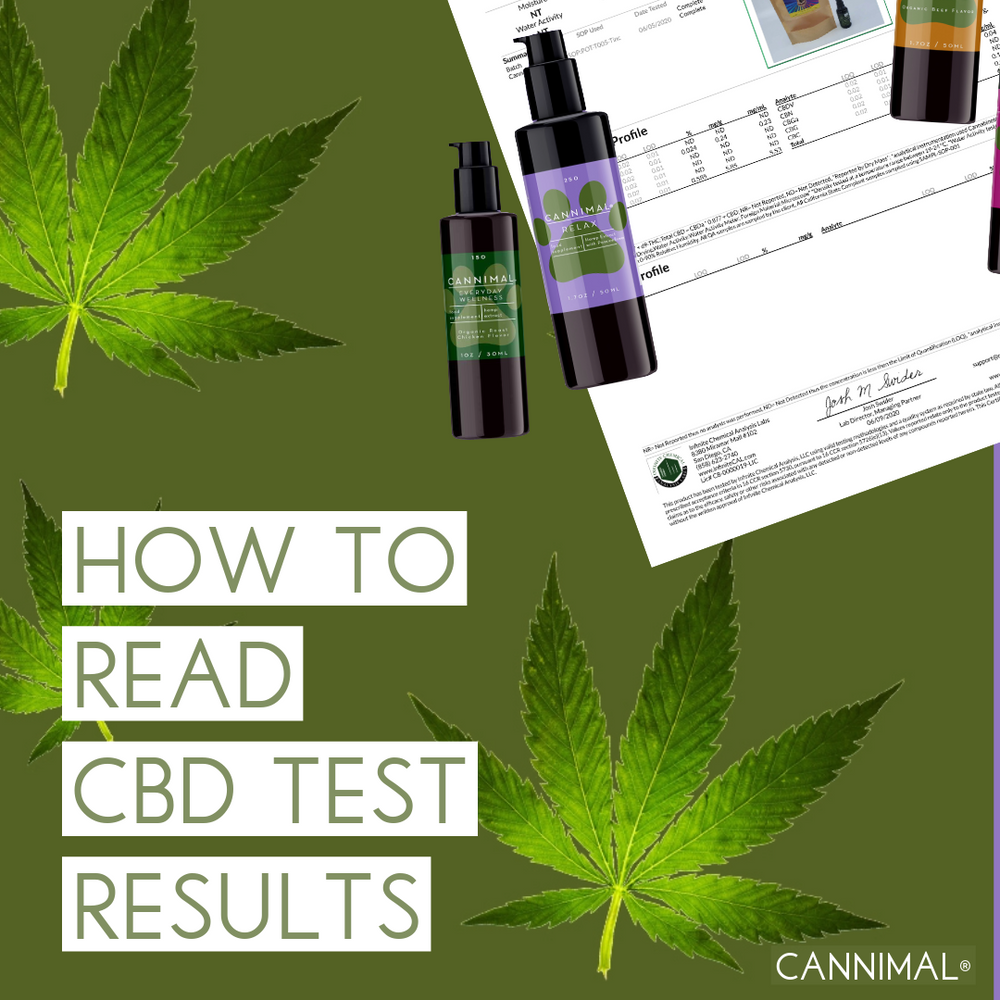How to Read Hemp Oil Test Results: Ensuring CBD Safety for Pets