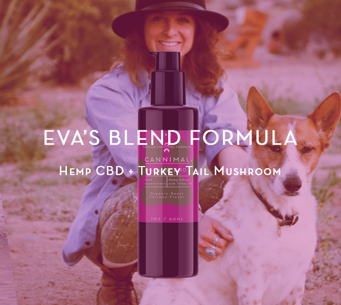 Eva's Blend Formula from Cannimal featuring Hemp CBD and Turkey Tail Mushroom for optimal pet wellness. Image shows Cannimal's founder Erika with her dog, highlighting holistic pet care and natural remedies.